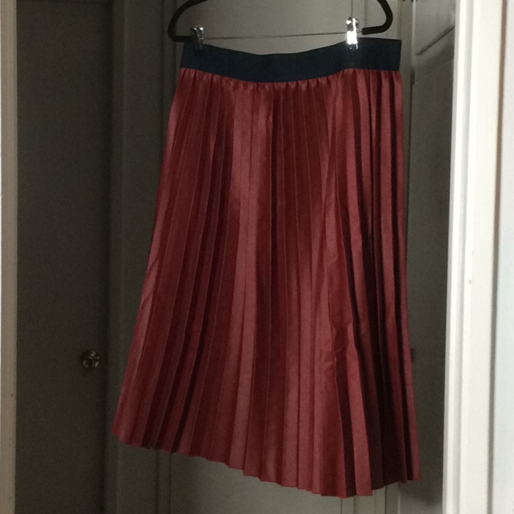 Pleated Skirt